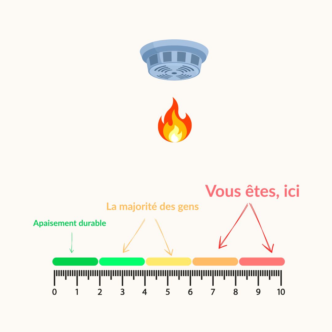 Schéma : le stress du passé (sensibilité, intelligence, accumulation des événements stressants) déclenche automatiquement votre système d'alarme dans votre présent, avec des réactions émotionnelles incontrôlées